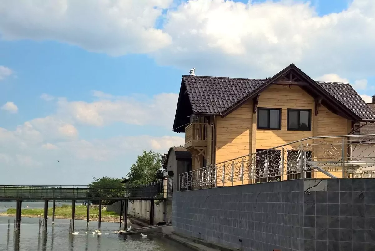 Proiect UNGUREANU ART, materiale folosite - Futura