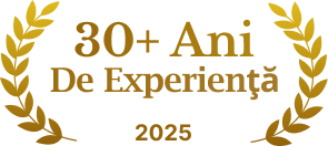 UNGUREANU ART 30 ani in constructii